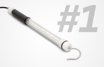 Timeline Image 19