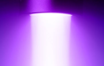 Timeline Image 12